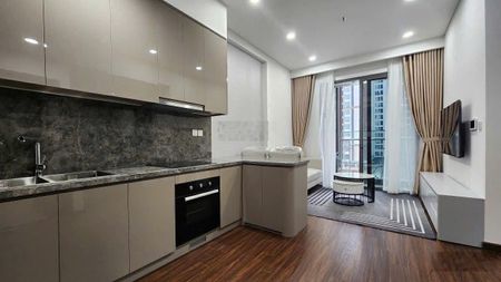 Cho thuê căn hộ 1PN Masteri Water Front, 8 triệu/th, 43,54m2, ở đường Quốc Lộ 5B, Gia Lâm, Hà Nội