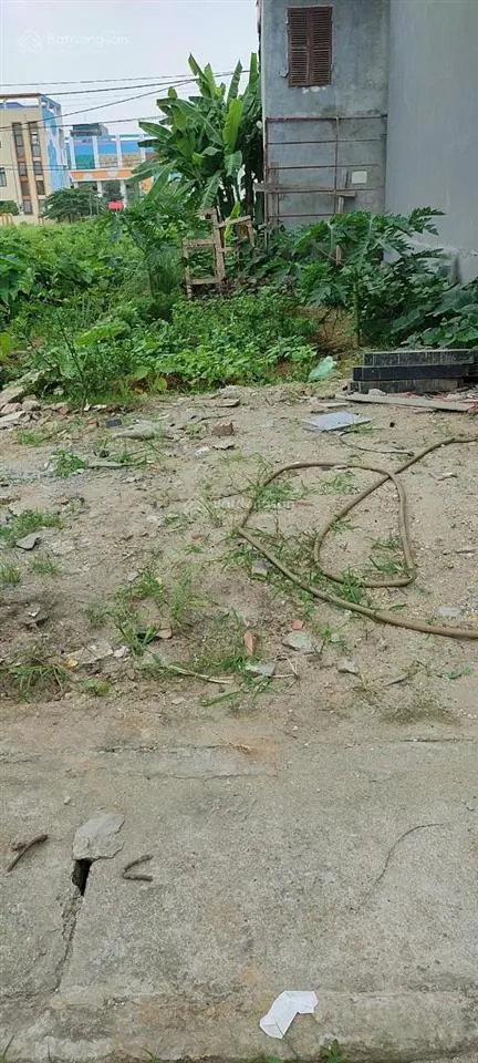 Giá đầu tư, đất tây tựu, 92m2, mặt tiền 6m, xây ccmn, ô tô cách 10m, giá ~ 100 triệu/1m2, qh ngon
