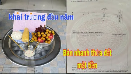 Bán đất thổ cư mặt tiền 133,6m2 giá 450tr