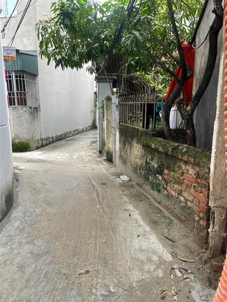 Chính chủ cần bán 50m2 đất sổ đỏ phúc lợi , đường thông ngõ xe vf3 giá 120tr/m2 0902 132 ***