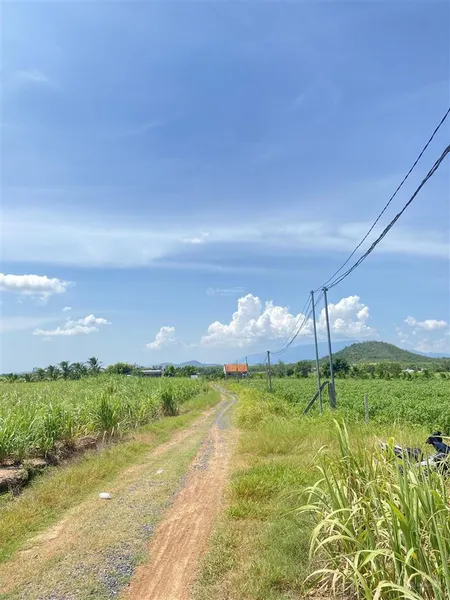 Chính chủ bán 1200m2 đất được xây dựng nhà yến tại xã hoà trí, tỉnh khánh hoà