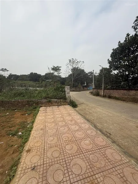 Chính chủ gửi bán 200m thích hợp làm nhà vườn gần trục chính hoà thạch đầu tư sinh lời