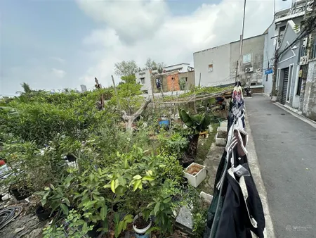 Bán đất tại quận 7 (đất trồng cây lâu năm) phú mỹ, quận 7
