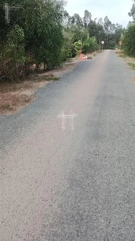 Bán đất tại xã tân bình, tân thạnh, long an, 450triệu, 1746m2, hot