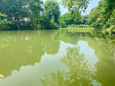 Bán bt bằng lăng 05 12 hướng tn, diện tích 250m2 xây dựng 455m2 căn thô view hồ rộng, giá 82.5 tỷ