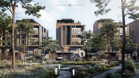 Rổ hàng độc quyền orchard mansion biệt thự, dinh thự đồi tại sycamore capitaland ck đến 11%