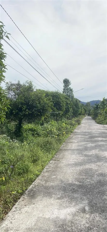 716m2, 10 x 72m, lâm đồng, chỉ 490tr