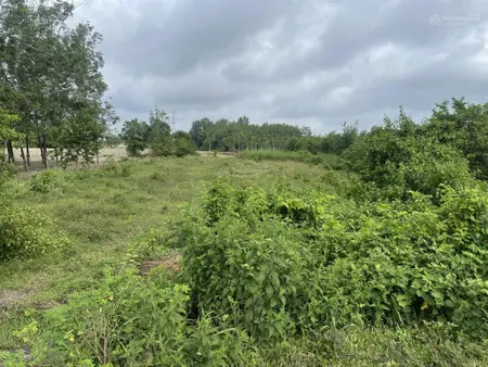 Chính chủ cần bán đất tại đường hồ chí minh, 6 tỷ, 1646.7 m2, dtc, pháp lý đầy đủ