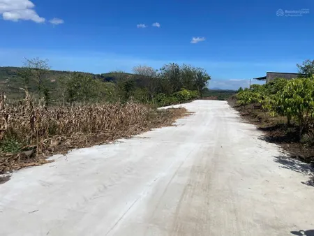 Bán đất tại đinh lạc, di linh, lâm đồng, 440 triệu, 380m mặt tiền. view đẹp chỉ với 440tr/1000m2