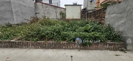 Hoa hậu 56m2 đức hậu, thanh lâm nhỏ tiền đường trục làng ô tô tránh, dừng, đỗ