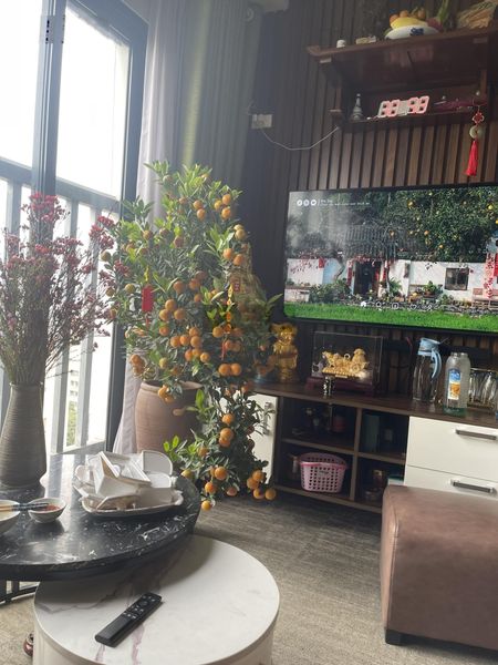 Cho thuê căn 2 phòng ngủ. Full nội thất khu vực Mỹ Đình