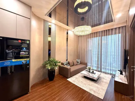Bán 2pn 2wc, 55m2, masteri h1, đồ cao cấp, vinhomes ocean park