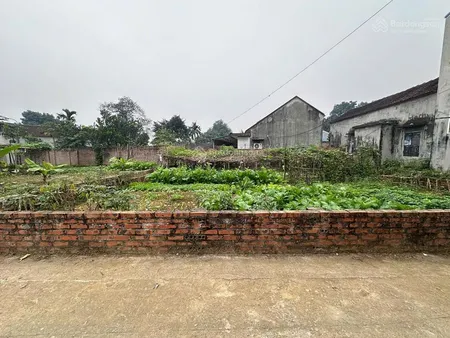 Hot đất vị trí đẹp giá tốt chính chủ cần bán nhanh đất liền kề tại huyện thạch thất, tp hà nội