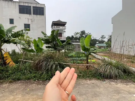 Siêu phẩm đầu tư 2 mặt tiền hoặc xây nhà cho sinh viên thuê cực đẹp