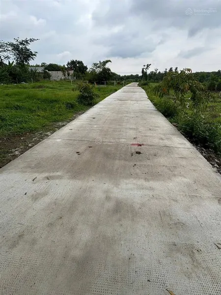 Cần bán gấp trong tuân 1000m đất cây lâu năm ,mặt tiền đường oto