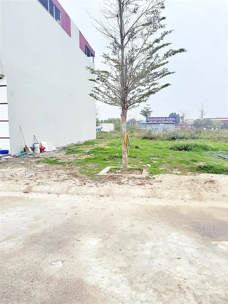 Bán đất đấu giá quang thịnh, lạng giang, bắc giang. 90m2 mặt tiền 6m. giá 1,3 tỷ
