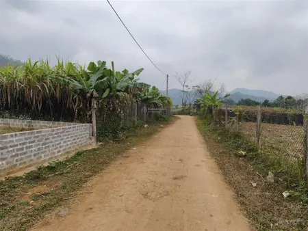Bán đất tại xã hợp phong, cao phong, hòa bình cũ, giá siêu hời 568 triệu, diện tích 419 m2