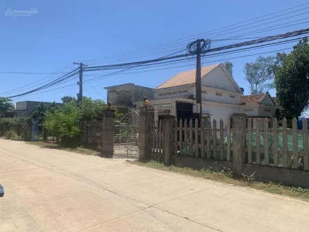 Bán căn nhà cấp 4, diện tích 1000m2 trục đường chính từ thị trấn xuống bãi tắm biển mộ đức