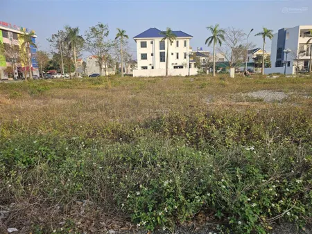 Bán bt 300m2 tại thị trấn nga sơn, 35 triệu vnd