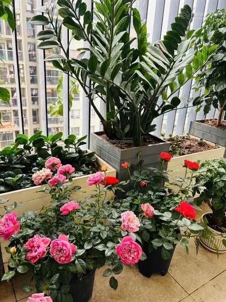 Bán liền kề xuân phương 189m gần trịnh văn bô giá 43 tỷ