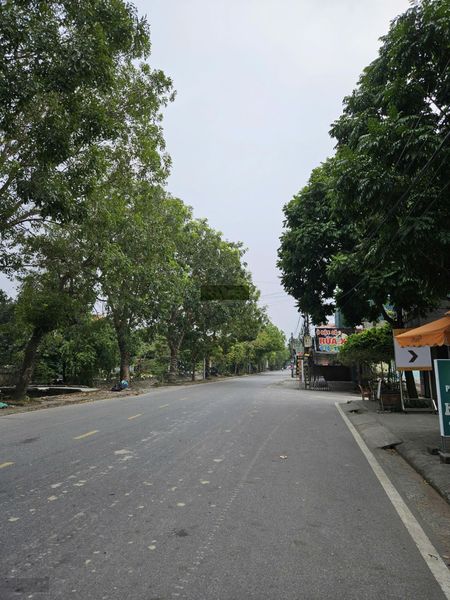 (Chính chủ) Cho thuê kho, nhà xưởng 200m2 tại Ngã ba Cát Đằng, giá cực chất 20 triệu VND