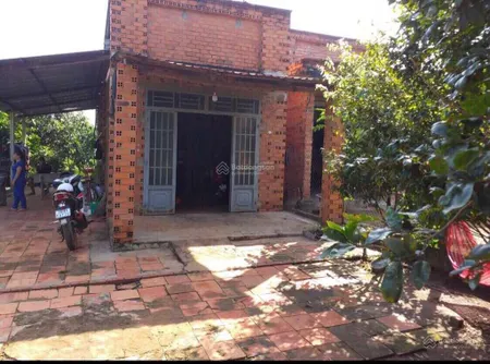 Cho thuê nhà 2 mt đường nhựa 14,3x 36,8 nở hậu 15,8 m dt 557,5m2 (2 sổ) giá 3tr/th