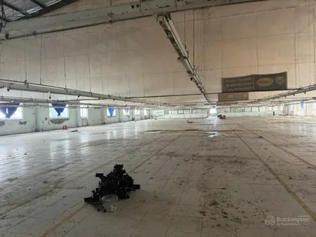 Cho thuê xưởng 32.000m2 huyện bến lức tỉnh long an