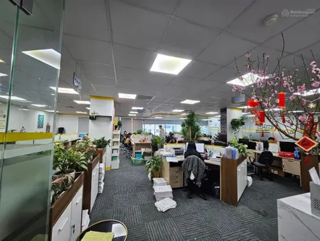 Cho thuê văn phòng tòa nhà ladeco quận ba đình 50m2 80m2, 110m2 200m2 400m2, 150 nghìn/m2/th