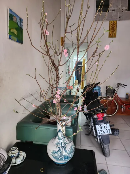 Chỉ 7tr/tháng nguyên căn mặt tiền phố Tư Đình, Long Biên