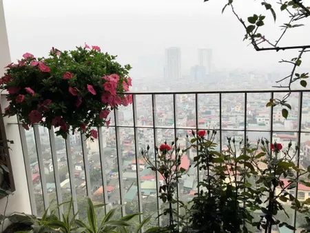 Cho thuê căn hộ 2pn toà c tầng trung dự án golden palace. 88m2. giá 18tr/tháng. 0985 222 ***