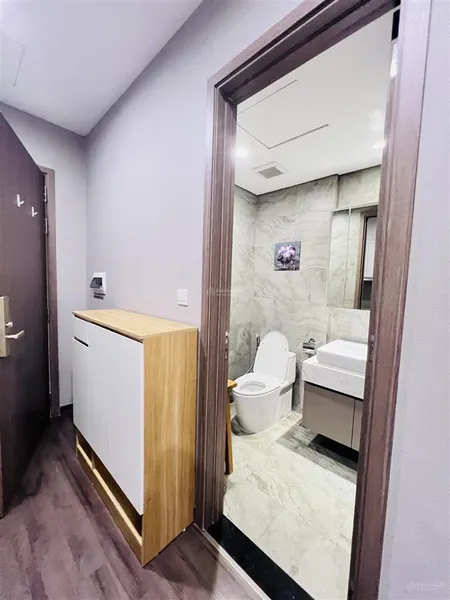 Cho thuê cc vinhomes symphony riverside, 9 triệu, 33m2, 1pn, 1wc, đầy đủ nội thất