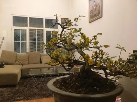 Bán nhà ngõ nông đi bộ vài bước ra đường âu cơ, mặt sau là đường xuân diệu