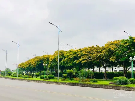 Bán bt bằng lăng 0603, đn 630.5m2 đất, xd 968.9m2, siêu vip view hồ rộng nhất, đẹp nhất da 240 tỷ