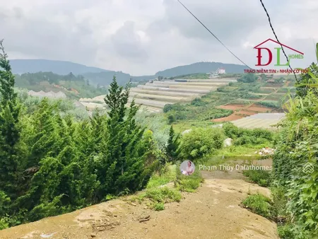 6 sào đất có thổ cư khu nghĩ dưỡng măng lin đà lạt giá chỉ 3,3tr/m2