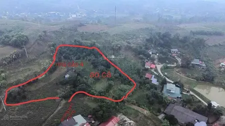 Đất nghỉ dưỡng sẵn mô hình làm homestay có nhà, ao, chuồng trại, cây trái, gần đường nhựa, tt huyện