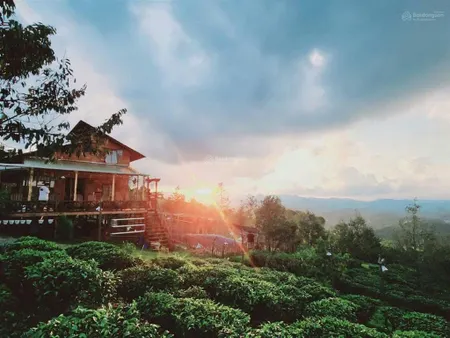 Đất nghỉ dưỡng hơn 1000m2 có suối tự nhiên bao quanh, đặc biệt có thể săn mây