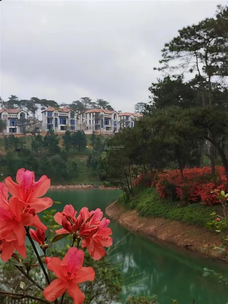 [độc quyền] chuyển nhượng btsl bao rẻ vị trí xuất sắc nhất thị trường chỉ 16.2 tỷ