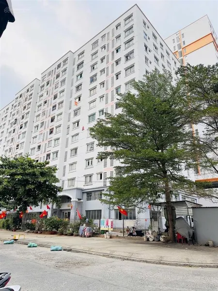 Bán chung cư bông sao, quận 8, sổ hồng sẵn, nhà sạch sẽ, tầng thấp, gần cầu nguyễn tri phương