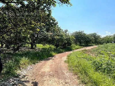 Bán đất 13429,7m2 đất rộng thuận lợi đầu tư, trồng trọt