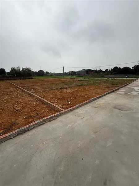 Bán nền 100m2 mặt 5m đường rộng 6m ô tô đỗ cửa chỉ 550tr tại ngọc châu tân yên