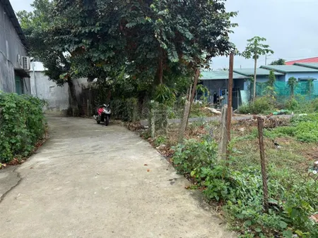 Bán gấp đất tại xã diên lạc, huyện diên khánh, khánh hoà, 1,15 tỷ, 125,4 m2
