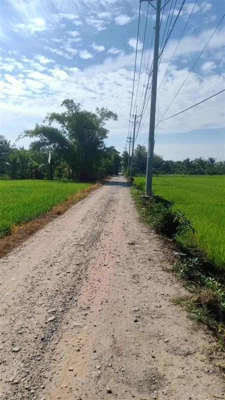 Siêu hot đất bán tại đỗ văn dậy, 4,2 triệu/m2, 6500m2