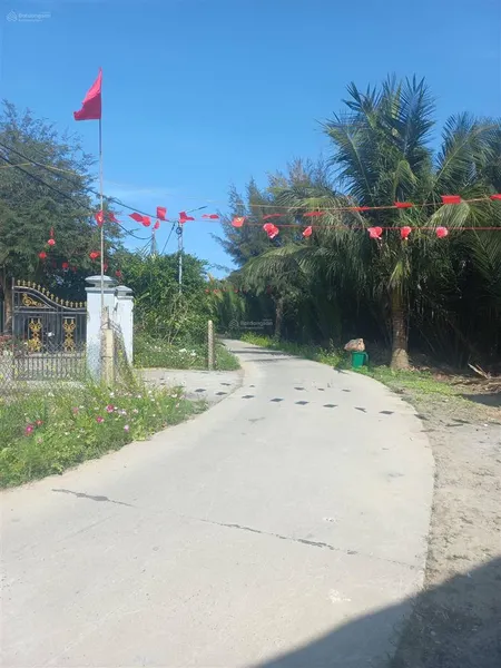 Mặt tiền dx17, cẩm thanh, view rừng dừa cực đẹp