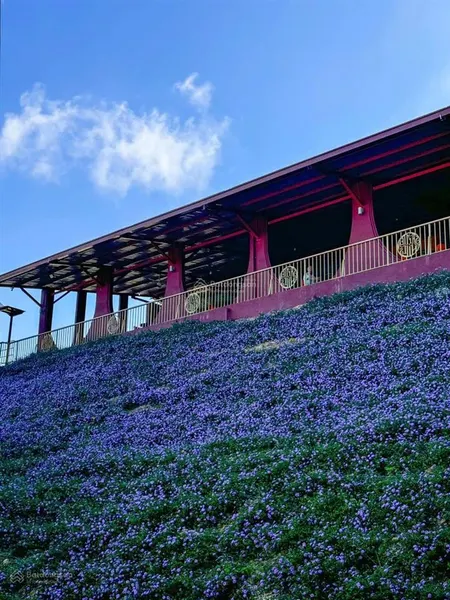 + bán đất đồi mai rùa hiếm có, gần samten hills dalat, dt 25.000m2, chuyển được 20.000m2 qua thổ cư