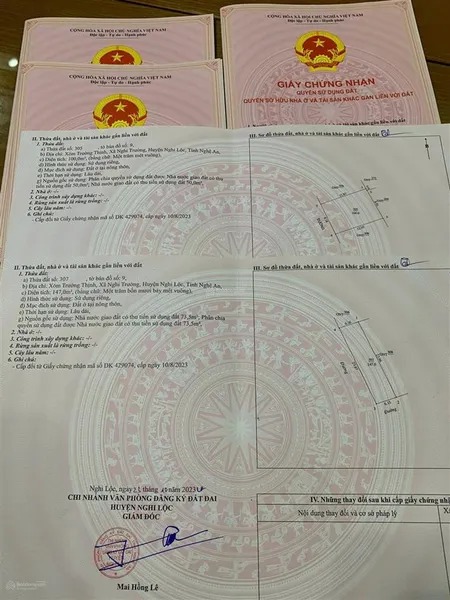 Chính chủ cần bán đất nghi trường, nghi lộc, nghệ an ( xã đông lộc mới )