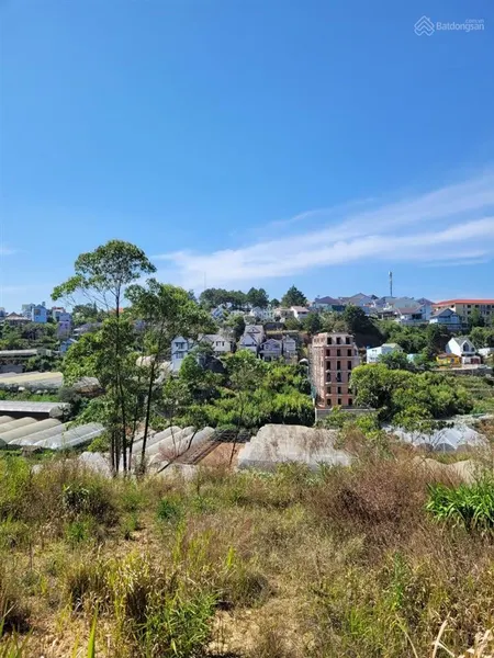 Bán gấp đất xây dựng view tại thành phố đà lạt
