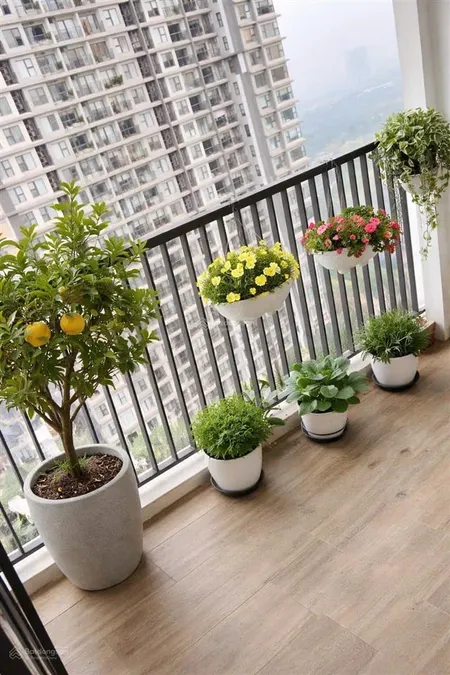Bán căn 2 ngủ toà sky2 aquabay hướng đông nam giá 3.750 tỷ bao phí 0961 694 ***