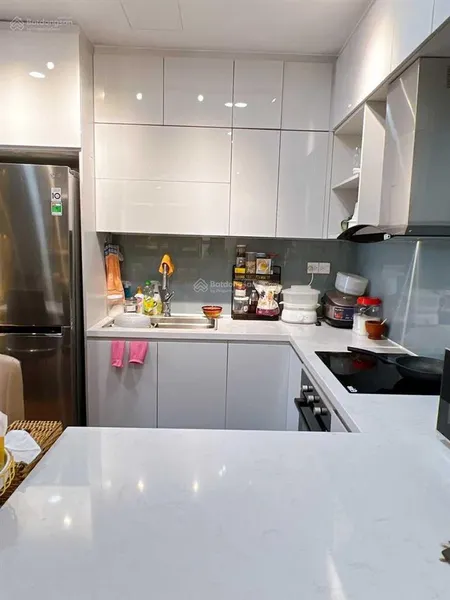 Căn hộ sunrise riverside 2pn ntcb 12 triệu. 2pn full nt giá 14 triệu. 0921 055 *** giang