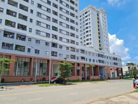 Cho thuê căn hộ fresca 2pn 2wc 7 tr vô ở liền. nhà trống hồ bơi miễn phí. 0965 895 ***