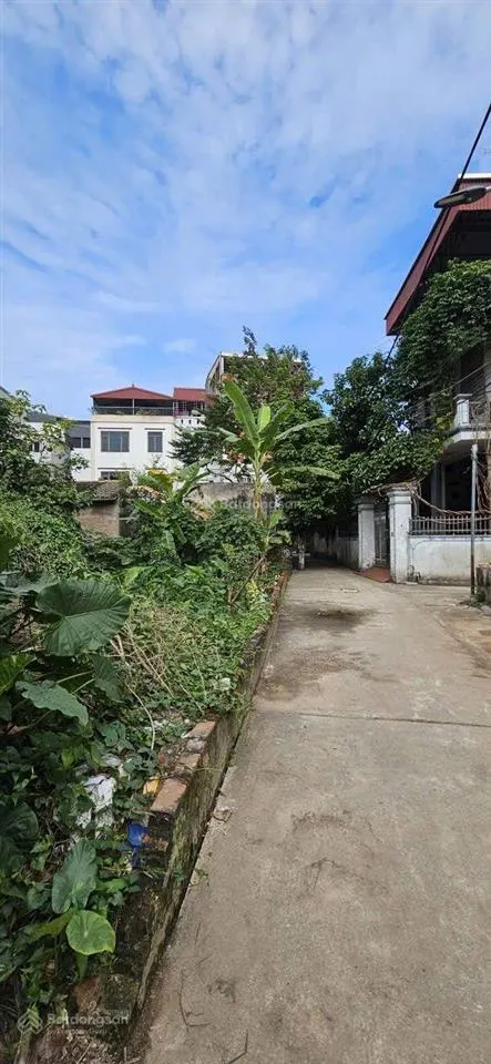 Bán đất trường lâm.dt100m mt6m.chỉ 12 tỷ.